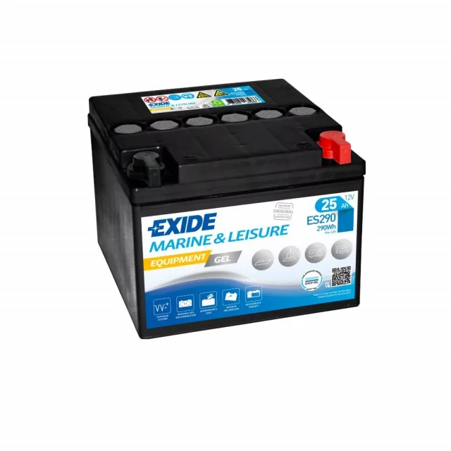 battery679813