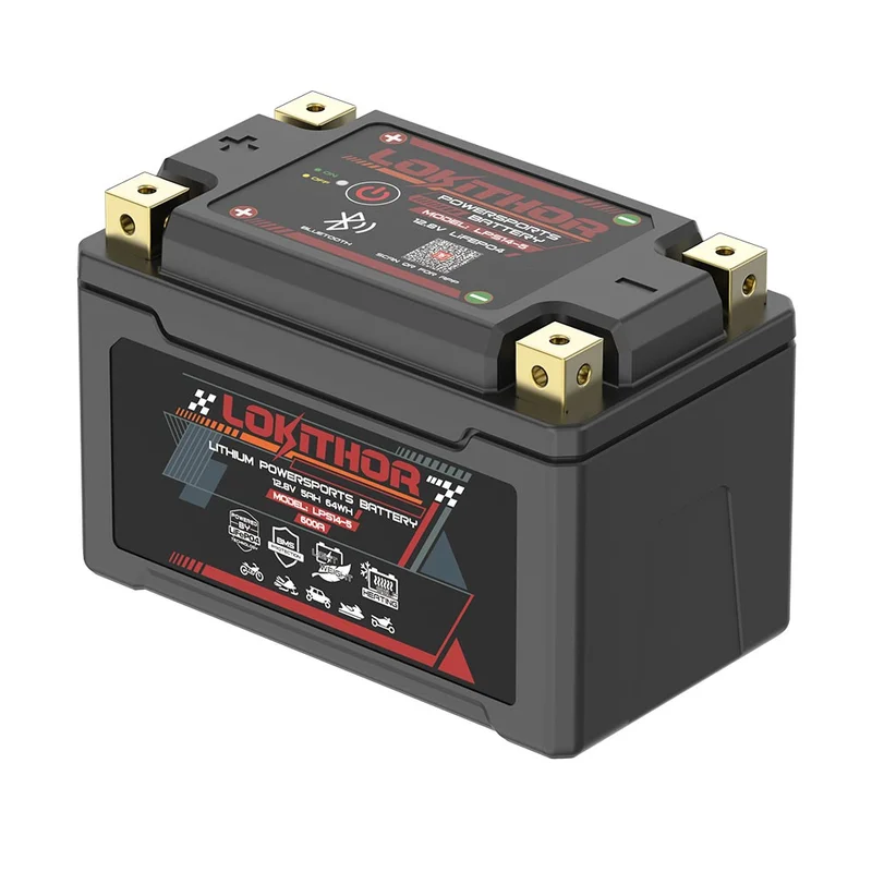 battery701244